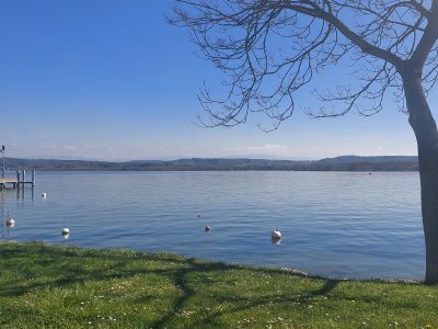 <p>Le bord du lac, à Vallamand-Dessous (débarcadères et parking)</p>