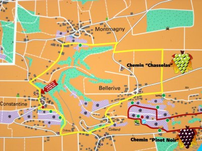 Plan du Chemin "Chasselas" (les points verts indiquent l'emplacement des panneaux didactiques)