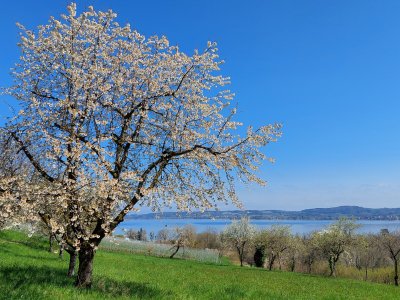 <p>Vue depuis l'église de Cotterd</p>