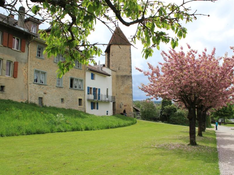 Avenches