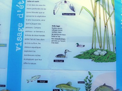 Détail du panneau didactique "le lac"