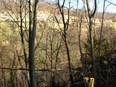 Vue sur les falaises surplombant le Nozon