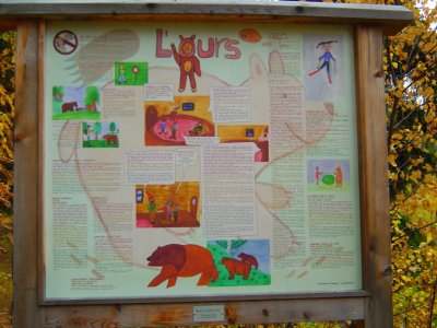 Panneau didactique sur l'ours