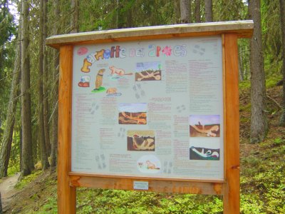 Premier panneau didactique, sur le thème des marmottes