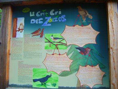 Panneau didactique le cri-cri des zoizos