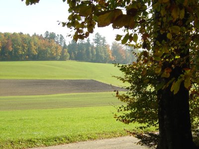 La plaine de Mauvernay, vers le Chalet-à-Gobet