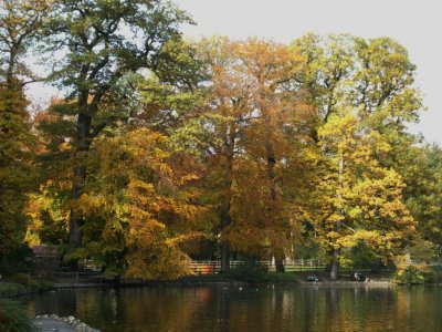 en automne 