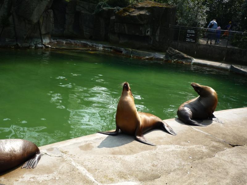 Zoo de Bâle