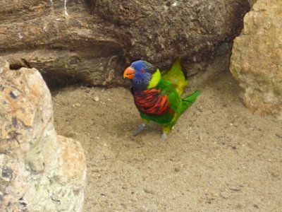Que de belles couleurs...