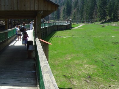 La passerelle depuis laquelle les visiteurs peuvent admirer les animaux