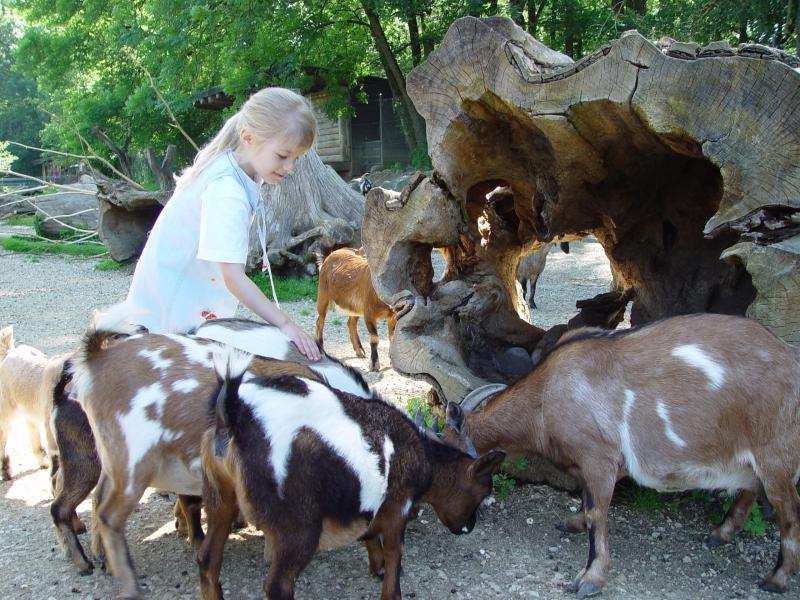 Zoo Seeteufel de Studen