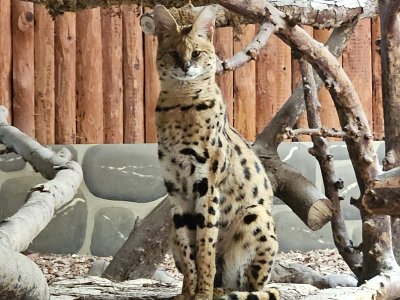 Zoo de Servion
