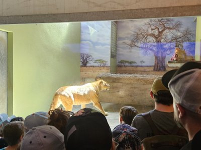 Zoo de Servion