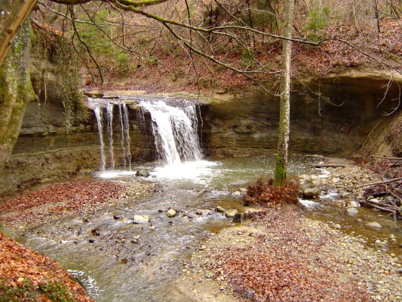 Sentier de la Cascade - La Mèbre
