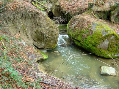 La Mèbre se faufile entre deux blocs de molasse