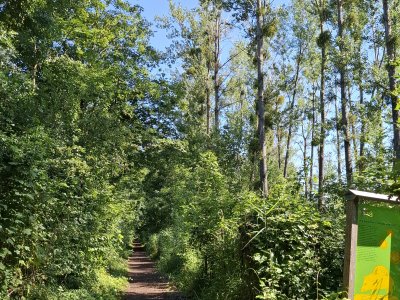 Le chemin