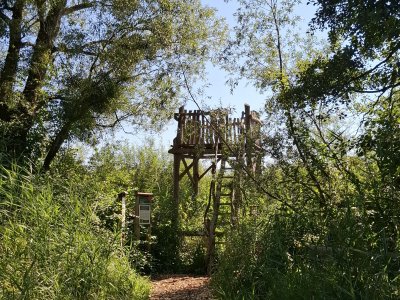 Un observatoire à oiseaux