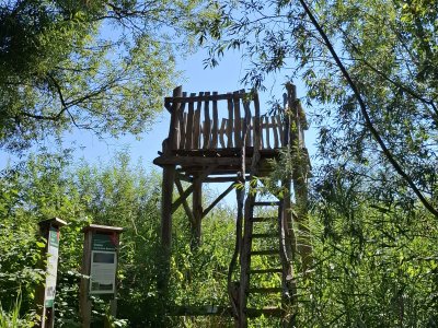 Un observatoire à oiseaux