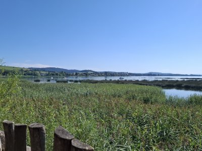 Vue sur Morat, depuis un observatoire