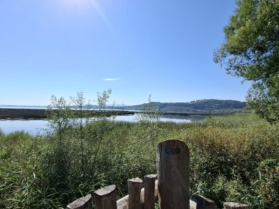 Vue sur le Mont Vully, depuis un observatoire