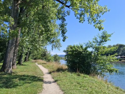 Le long du canal de la Broye, au départ de Sugiez