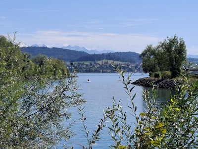 Le canal de la Broye et au fond Morat