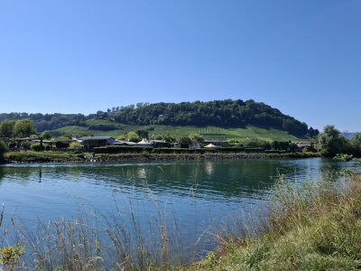 Le canal de la Broye et le Mont Vully