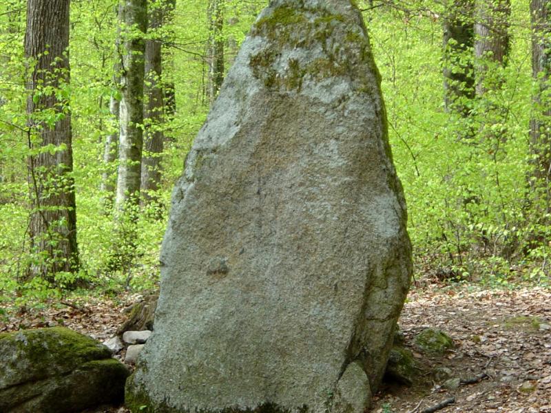 La Béroche - menhirs et blocs erratiques