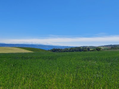 Magnifique vue sur les champs et le lac de Neuchâtel