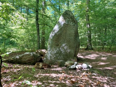 Le menhir sous-bois