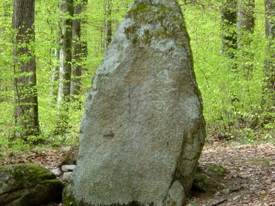 Menhir sous-bois (2,5 mètre de haut)
