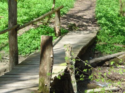 Un pont en bois enjambant le Flonzel