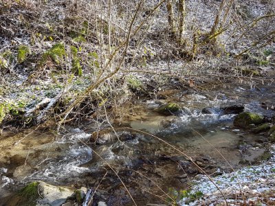 Ruisseau de Vaux
