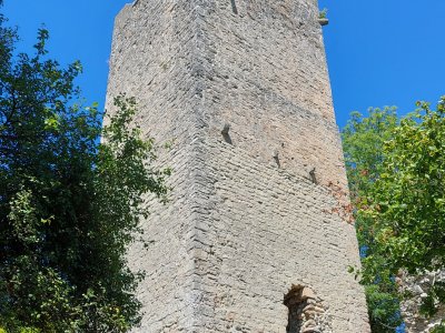 <p>La tour de Saint-Martin</p>