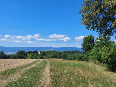 <p>Coup d'oeil sur la tour, en arrivant depuis Chêne-Pâquier</p>
