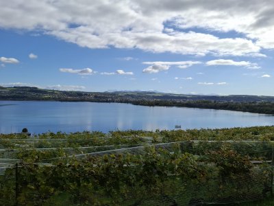 <p>Vue sur le bout du lac de Neuchâtel, côté Yverdon</p>