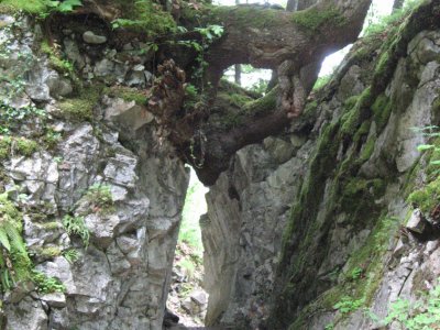 Le sentier