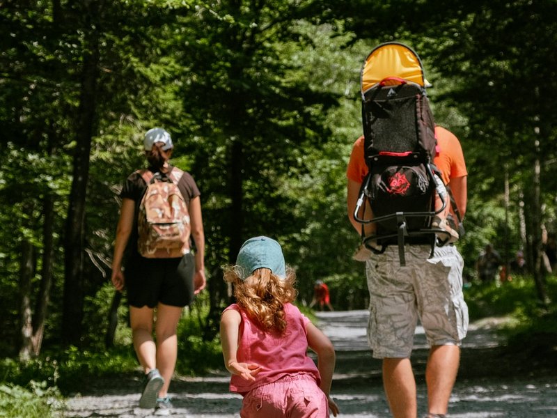 Sentier de la Fourmi des Bois